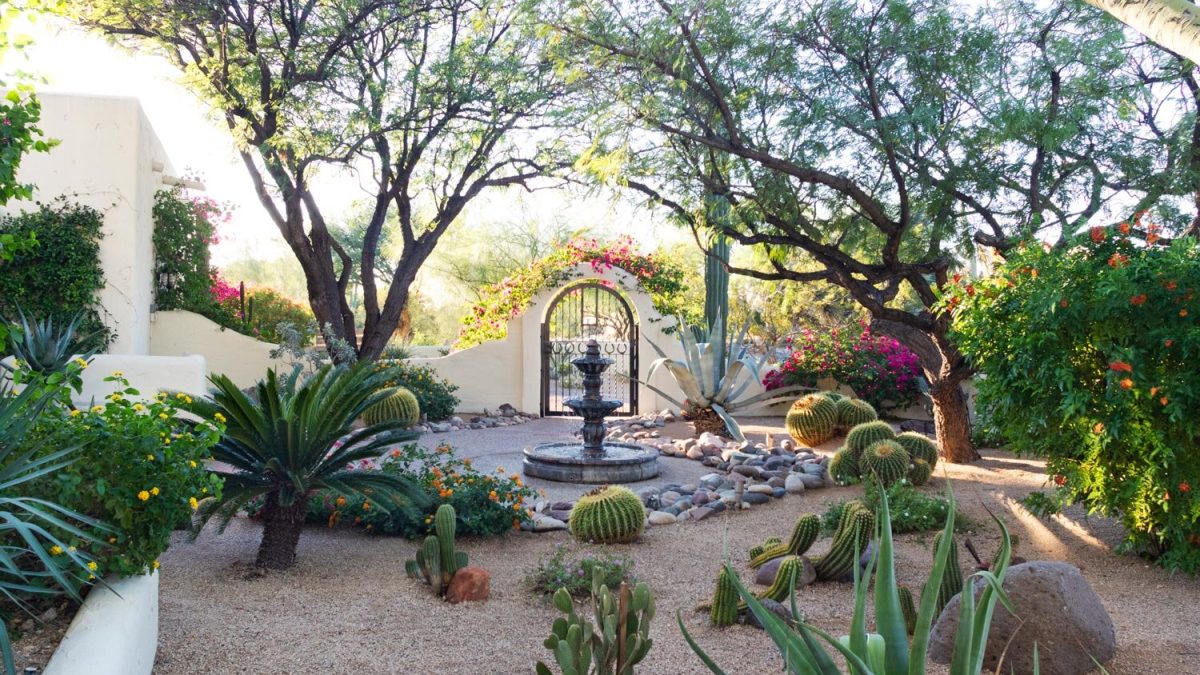 murphys-landscaping-luxury-landscape-design-scottsdale-az